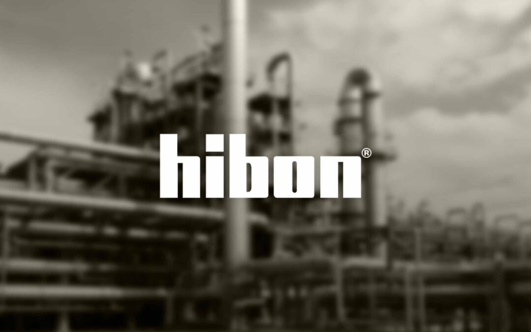 HIBON Niederdruck-Verdichter – Drehkolben-Gebläse